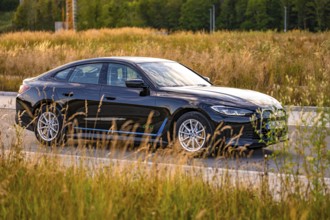 Black car on the side of the road surrounded by fields and trees, BMW i7 electric car, Deer E-
