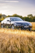 Black electric car in a cornfield at sunset, surrounded by a golden evening mood, BMW i7 electric