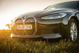 Front view of a BMW with grille and sunset in the background, BMW i7 electric car, Deer