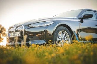 Low viewing angle of a black BMW on a blooming meadow, BMW i7 electric car, Deer e-Carsharing,