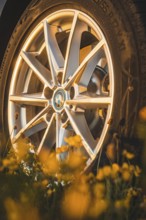 Close-up of a car rim surrounded by yellow flowers, BMW i7 electric car, Deer e-Carsharing, Calw,