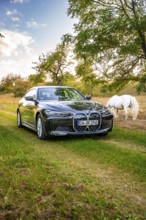 Black electric car on a green field next to a horse, atmospheric evening sun through the trees, BMW