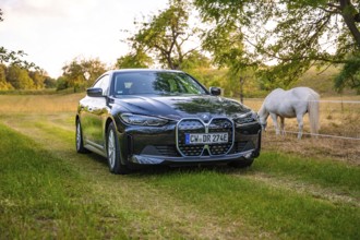 Black electric car standing in a meadow next to a white horse, trees in the background at sunset,
