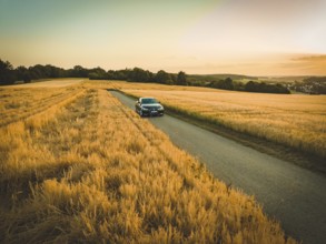 A car drives alone across a road through vast fields at warm sunset, BMW i7 electric car, deer