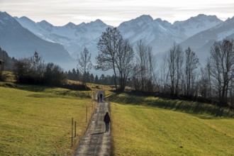 Hikers near Reichenbach, behind mountains of the Allgäu Alps, near Oberstdorf, Oberallgäu, Allgäu,