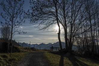 Hiker sitting on bench under bare trees, Reichenbach, back light, mountains of the Allgäu Alps,