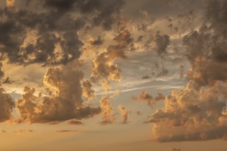 A brilliant sunset casts warm colors across a cheerful meadow. Dark clouds dominate the sky, while