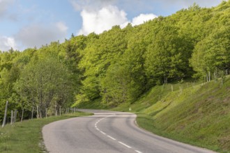 The road runs between trees and green hills. The sky is partly cloudy. It is a clear and bright day