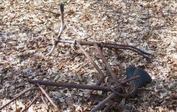 Destroyed, rusty bicycle wreck in the forest, broken Dutch bike, old bicycle lying damaged on the