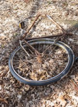 Destroyed, rusty bicycle wreck in the forest, broken Dutch bike, old bicycle lying damaged on the