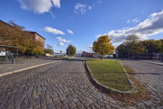 Reventloubrücke bus stop, street, central island, cobblestone roadway, trees with autumn leaves,