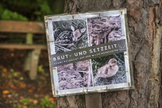 Information sign on the edge of the forest about the wildlife to be protected, Franconia, Bavaria,