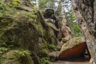 Mühlsteinbrüche hiking area near Jonsdorf in the Zittau Mountains, Upper Lusatia, Saxony, Germany