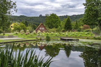 Goldbach pond in the Oybin spa park, Zittau Mountains, Upper Lusatia, Saxony, Germany