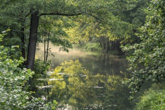 Canal or Spreewaldfließ in Spreewald near Burg, Brandenburg, Germany