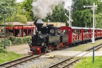 Steam locomotive 99 3301 Count Arnim in Branitzer Park, landscape park created in 1846 by Prince