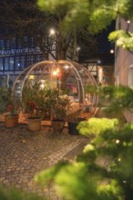 An illuminated dome at night near a half-timbered house, surrounded by plants and low light, Gastro