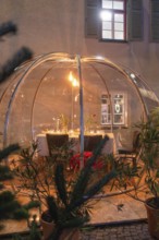 An illuminated greenhouse with an attractively set table for an intimate dinner, Gastro Bubbles,