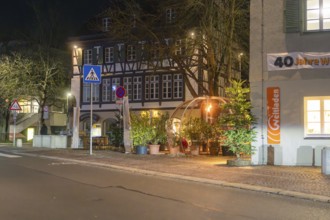 An illuminated street with a half-timbered house and a decorative dome next to plants under a night