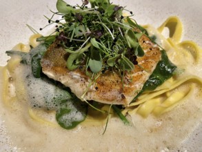 Cod fillet on tagliatelle, noodles, cress, white wine foam, food, Stuttgart, Baden-Württemberg,