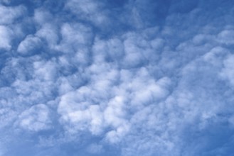 Medium-height white clouds of Altocumulus in blue sky, international