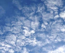 Medium-high white clouds of Altocumulus fractus in blue sky, international