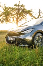 Car on a green field at sunset under trees, electric car Cupra, e-car sharing, Calw, Germany