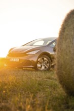 Car in the golden light of sunset in a meadow next to a hay bale, electric car Cupra, e-car