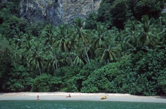 Palm trees, people, kayak, Ao Nang beach, two years in front of the tsunami, Krabi, Thailand,