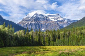 Majestic mount robson rises above a lush green forest and meadow, creating a breathtaking panorama
