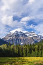 Majestic mount robson, the highest peak in the canadian rockies, towers over a lush meadow and