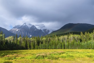 Mount robson, partially shrouded in clouds, towers majestically over a lush coniferous forest and