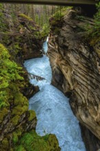 Powerful turquoise water flows through a narrow gorge carved by athabasca falls in jasper national
