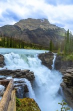Athabasca falls cascading powerfully over rocky cliffs in jasper national park, alberta, canada,