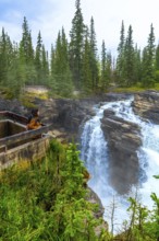 Female tourist admiring powerful athabasca falls plunging into a canyon surrounded by lush pine