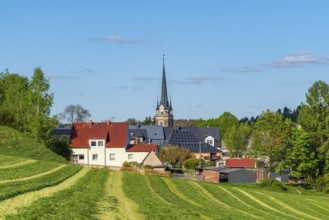 View across a mowed field to St. Lawrence Church and houses in the town of Elterlein, Ore