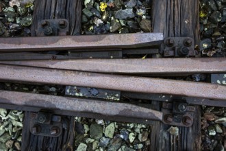 Old railroad tracks at Bresewitz station, near Zingst, Mecklenburg-Western Pomerania, Germany