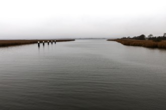 Lagoon area at the Meinigenbrücke near Zingst, Fischland-Darß-Zingst, Western Pomerania Lagoon Area