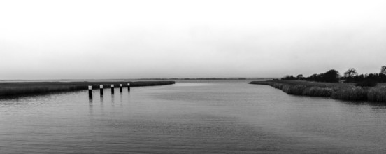 Lagoon landscape at the Meinigenbrücke near Zingst, black and white photo, panorama,