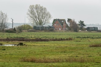 Former Bresewitz station with old railroad cars, near Zingst, Mecklenburg-Western Pomerania,