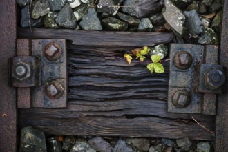 Old weathered railway threshold with rail fortification, detail photo, near Bresewitz station, near