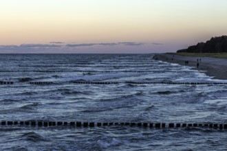 Beach, grooms in the sea, people on the beach, evening light, Zingst, Fischland-Darß-Zingst,