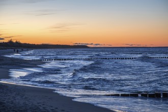 Beach and groves in the sea, evening light, sunset, Zingst, Fischland-Darß-Zingst, Western