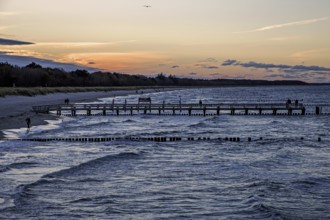 Beach, groves in the sea, evening light, Zingst, Fischland-Darß-Zingst, Western Pomerania Lagoon
