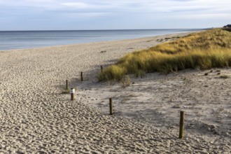 Beach and sea, Prerow, Fischland-Darß-Zingst, Western Pomerania Lagoon Area National Park,