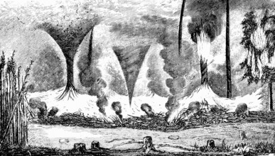 How whirlwinds arise over burning cane bushes, fire, lakeside, thatch, nature, warmth, rising warm