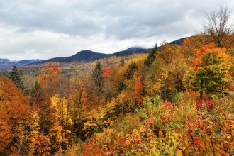 Scenic View, Panoramic View, Fall Leaves, Indian Summer, Fall Weather, Sugar Hill Observation Deck,
