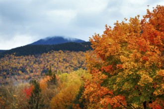 Scenic View, Fall Leaves, Indian Summer, Sugar Hill Observation Deck, Kancamagus Highway, White
