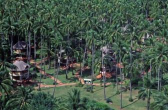 Houses, palm trees, view of holiday complex from the viewpoint, two years in front of the tsunami,