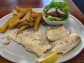 Dish with fried fish, fries and fresh salad on a plate, fish and chips, national dish, Scotland,
